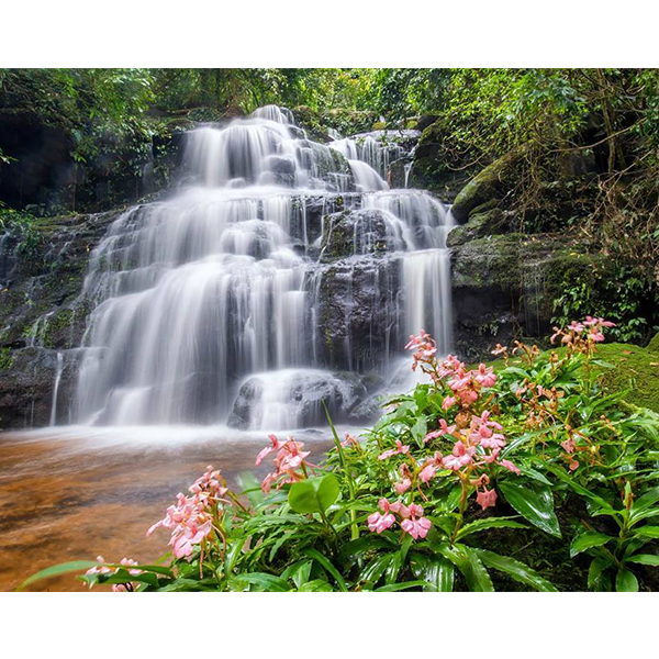 پوستر طبیعت