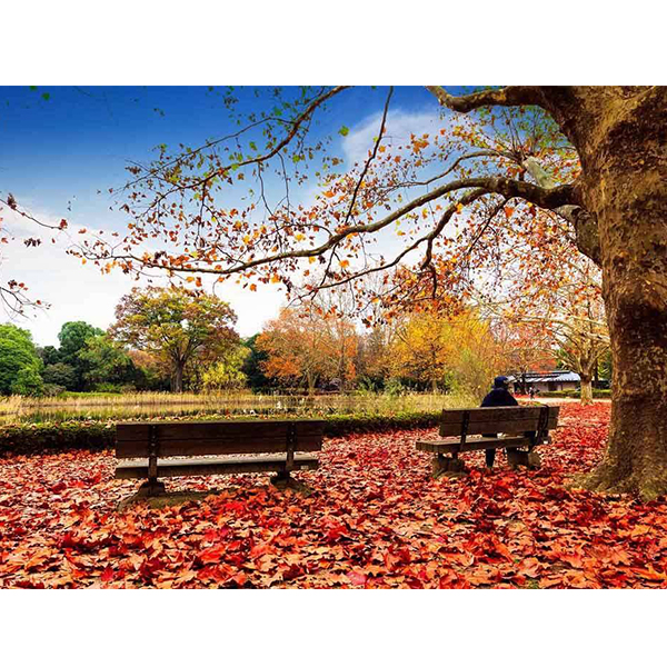 پوستر طبیعت